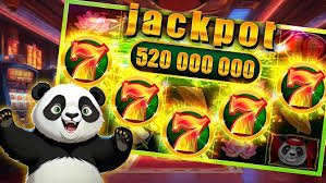 223bd
