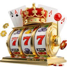 223bd